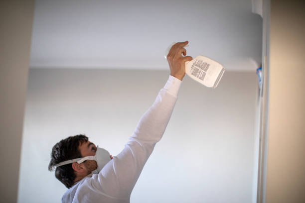 Best Emergency Mold Remediation in Raymond, IL