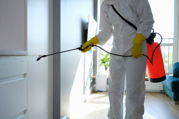 Trusted Raymond, IL Mold Remediation Experts